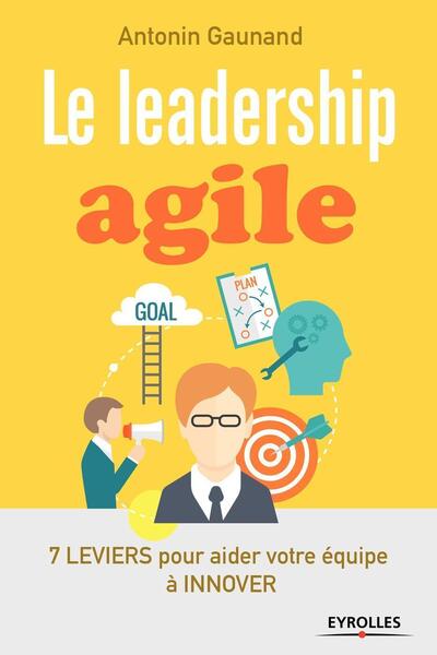 Picture of Le leadership agile