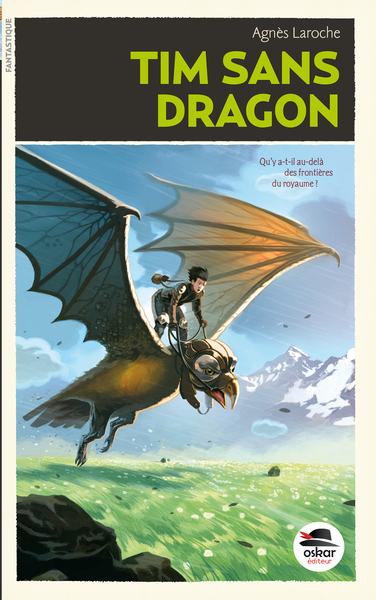 Image de Tim sans dragon (NE)