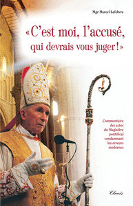 Image de C'est moi, l'accusé, qui devrais vous juger ! (nvelle éd)