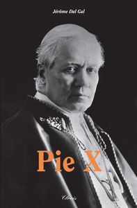 Picture of Pie X
