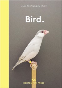 Image de Bird