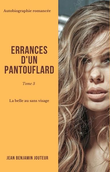 Picture of Errances d'un pantouflard - Tome 3 -