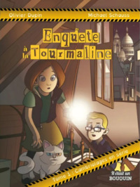 Image de ENQUETE A LA TOURMALINE : TOME 1 - CAMBRIOLAGES EN SERIE