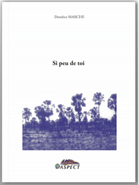 Picture of Si peu de toi