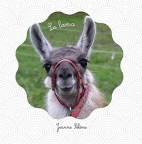 Image de Le lama