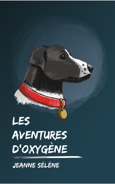 Picture of Les aventures d'Oxygène