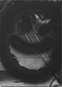 Picture of Nico Krijno Collages 2020-22 /anglais