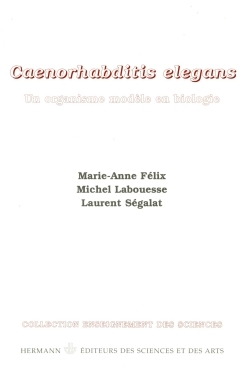 Picture of Caenorhabditis elegans