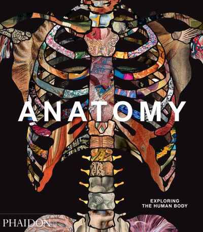Image de ANATOMY