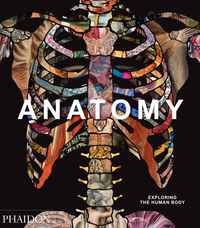 Image de ANATOMY