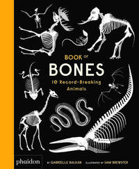 Image de BOOK OF BONES