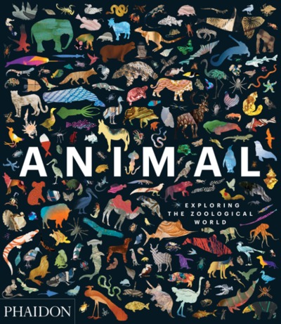 Image de ANIMAL