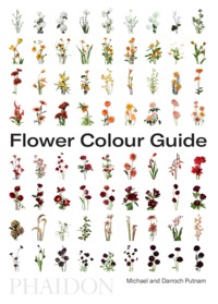 Image de FLOWER COLOUR GUIDE