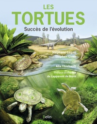 Image de Les Tortues