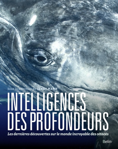 Image de Intelligences des profondeurs