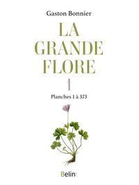 Picture of La grande flore en couleurs