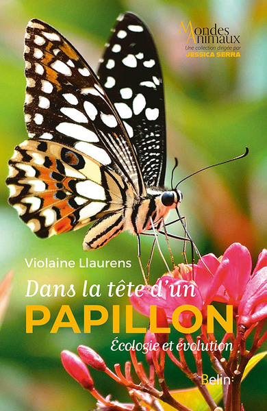Picture of Dans la tête d'un papillon