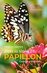 Picture of Dans la tête d'un papillon