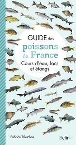 Picture of Guide des poissons de France