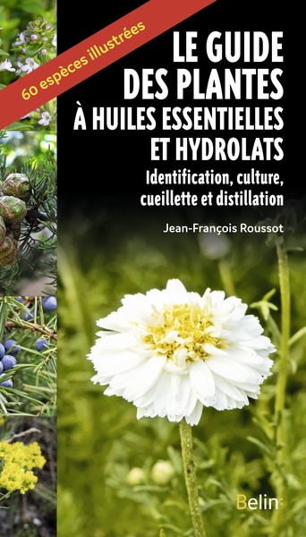 Image de Le guide des plantes à huiles essentielles et hydrolats