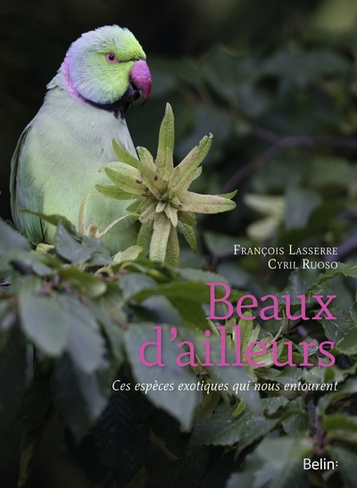 Picture of Beaux d'ailleurs