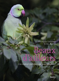 Picture of Beaux d'ailleurs