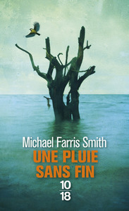 Image de Une pluie sans fin
