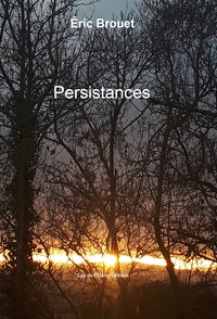 Picture of Persistances