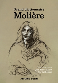 Picture of Grand dictionnaire Molière