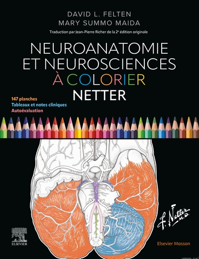 Picture of Neuroanatomie et neurosciences à colorier Netter