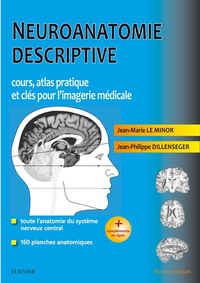 Picture of Neuroanatomie descriptive