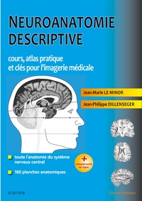 Picture of Neuroanatomie descriptive