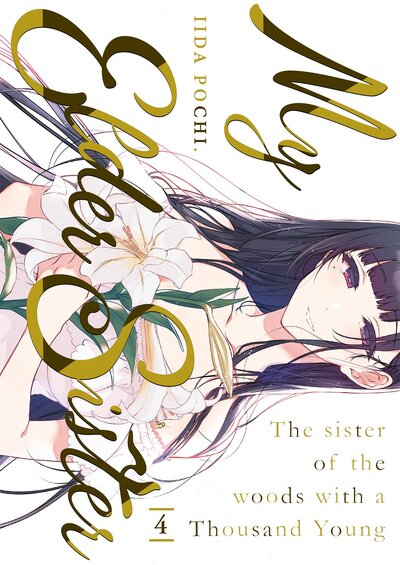 Image de My Elder Sister - Tome 04