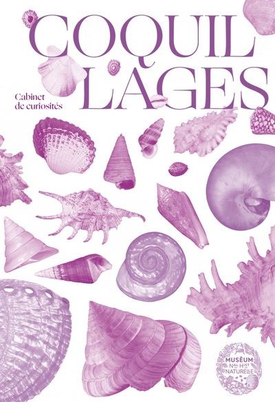 Image de Coquillages - Joyaux des mers