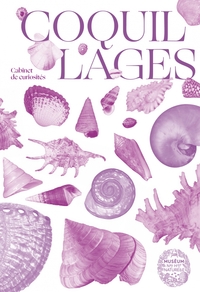 Image de Coquillages - Joyaux des mers