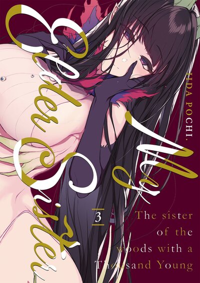 Image de My Elder Sister - Tome 03