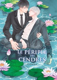Picture of Le périple des cendres