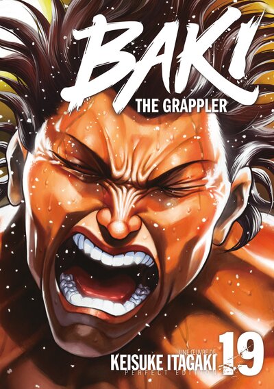 Image de Baki the Grappler - Tome 19 - Perfect Edition