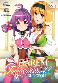 Image de Harem in the Fantasy World Dungeon - Tome 06