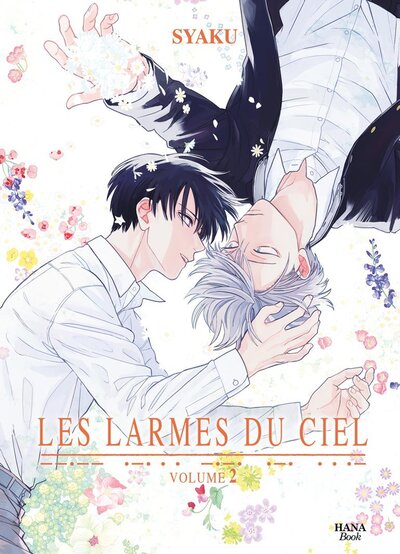 Picture of Les Larmes du ciel - Tome 2