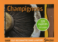 Picture of Coffret Champignons : guide + couteau à champignons