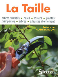 Picture of La taille