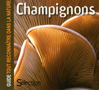 Picture of Champignons - Guide tout reconnaître dans la nature