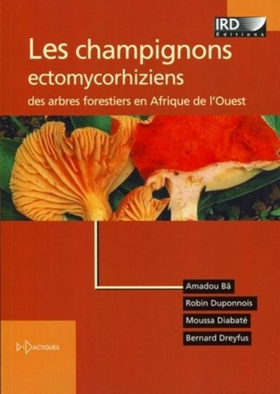 Image de LES CHAMPIGNONS ECTOMYCORHIZIENS DES ARBRES FORESTIERS EN AFRIQUE DE L'OUEST