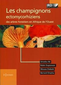 Image de LES CHAMPIGNONS ECTOMYCORHIZIENS DES ARBRES FORESTIERS EN AFRIQUE DE L'OUEST
