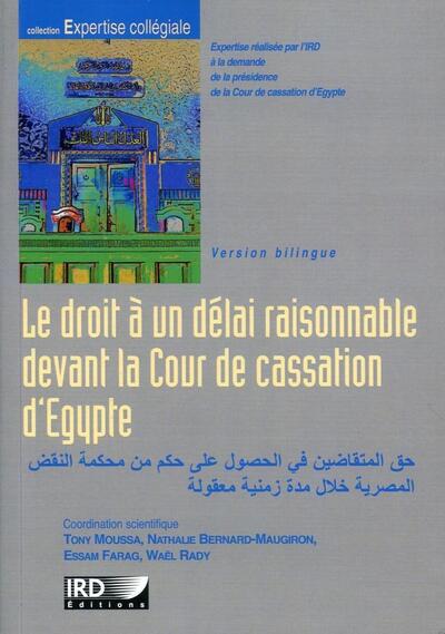 Image de Le droit à un délai raisonnable devant la cour de cassation d'Egypte
