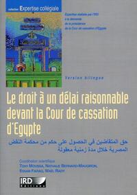 Image de Le droit à un délai raisonnable devant la cour de cassation d'Egypte