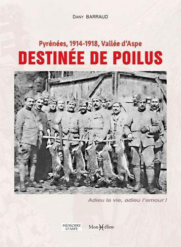 Image de Destinée de poilus, Pyrénées 1914-1918