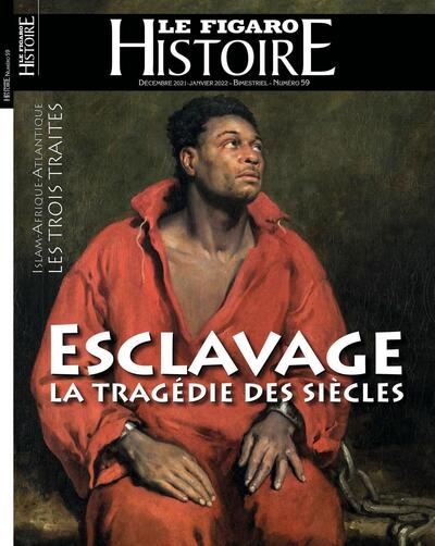 Image de Esclavage La tragédie des siècles