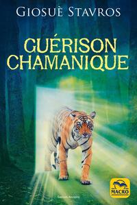 Picture of Guérison chamanique